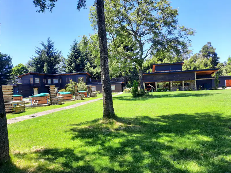 Vista general del apart hotel en venta en Adolfo Kachele, Pucón, con las cabañas, las tinajas y la casa principal