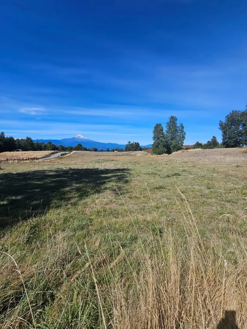 Pradera de la parcela con vista al volcán Villarrica