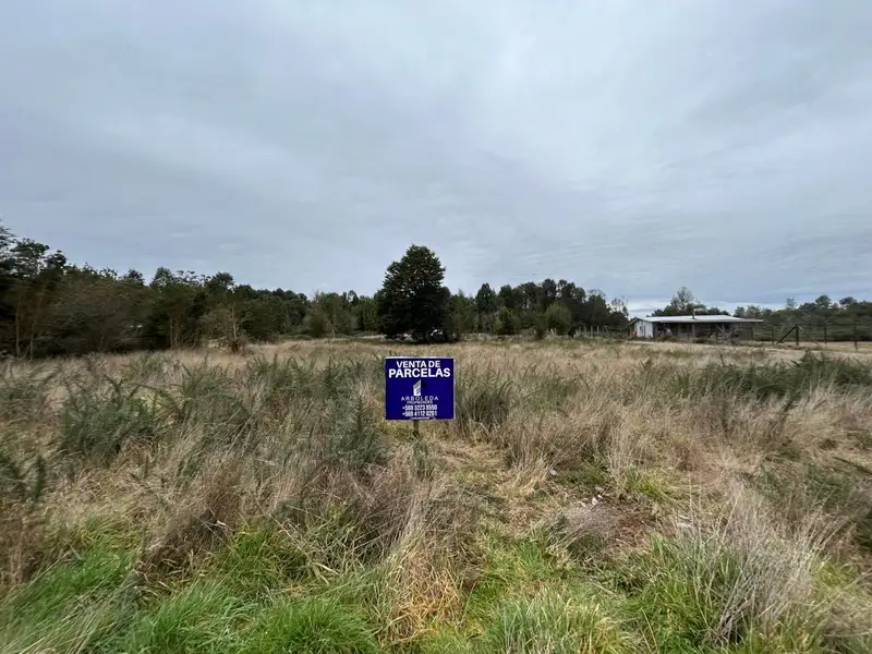 Parcelas en venta en el Condominio Club de Campo Residencial, Puerto Varas