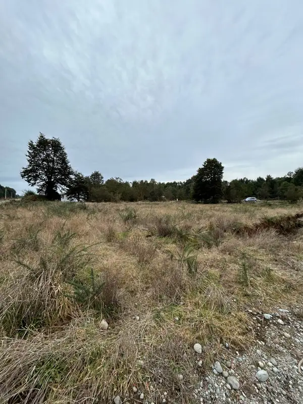 Terreno de la parcela con arboleda nativa al fondo, Puerto Varas