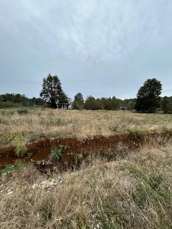 Terreno de la parcela rodeado de vegetacion, Club de Campo Residencial