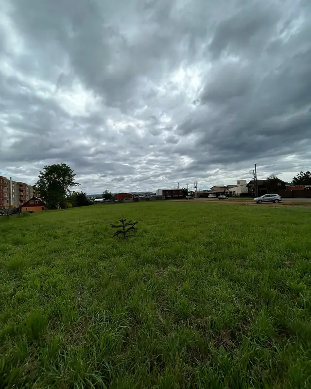 Superficie del terreno en Av. Luis Durand, Temuco, con araucaria al centro