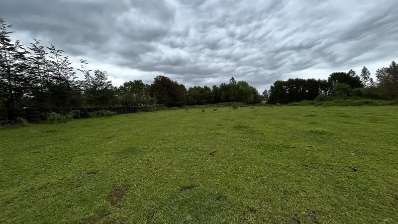 Vista amplia del terreno plano