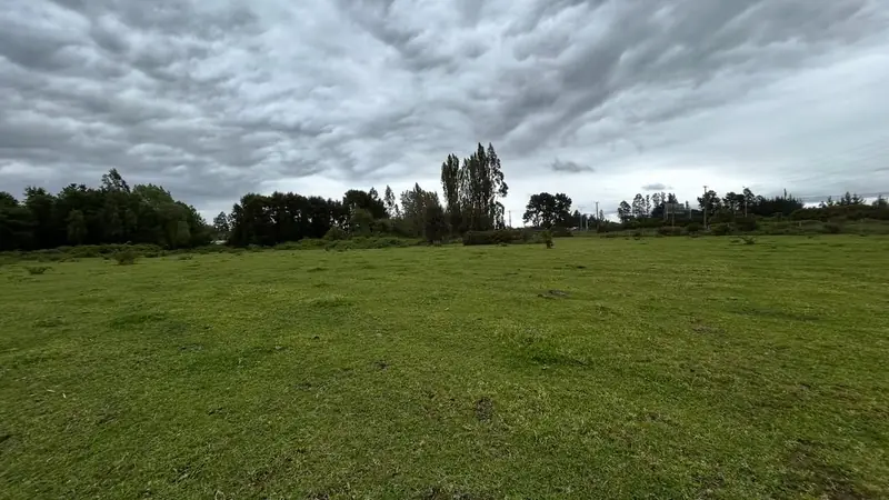 Campo plano con vegetación baja